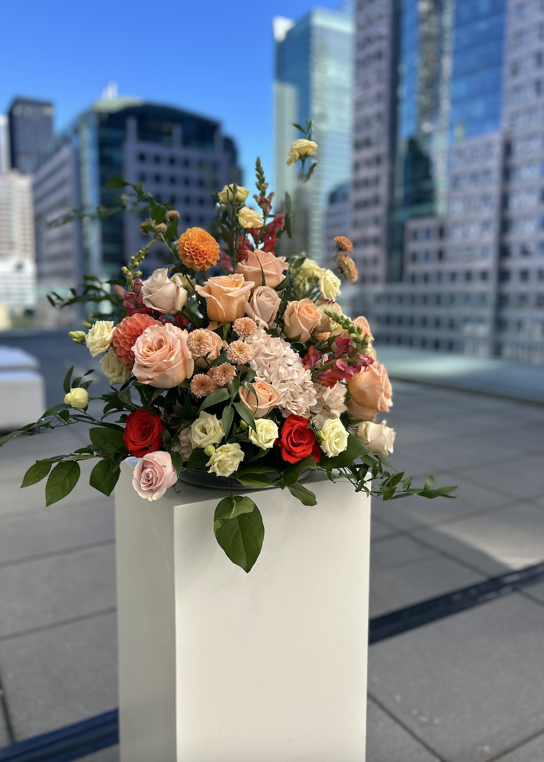 Peach and coral rose arrangement on a white plinth with the downtown Toronto skyline behind
