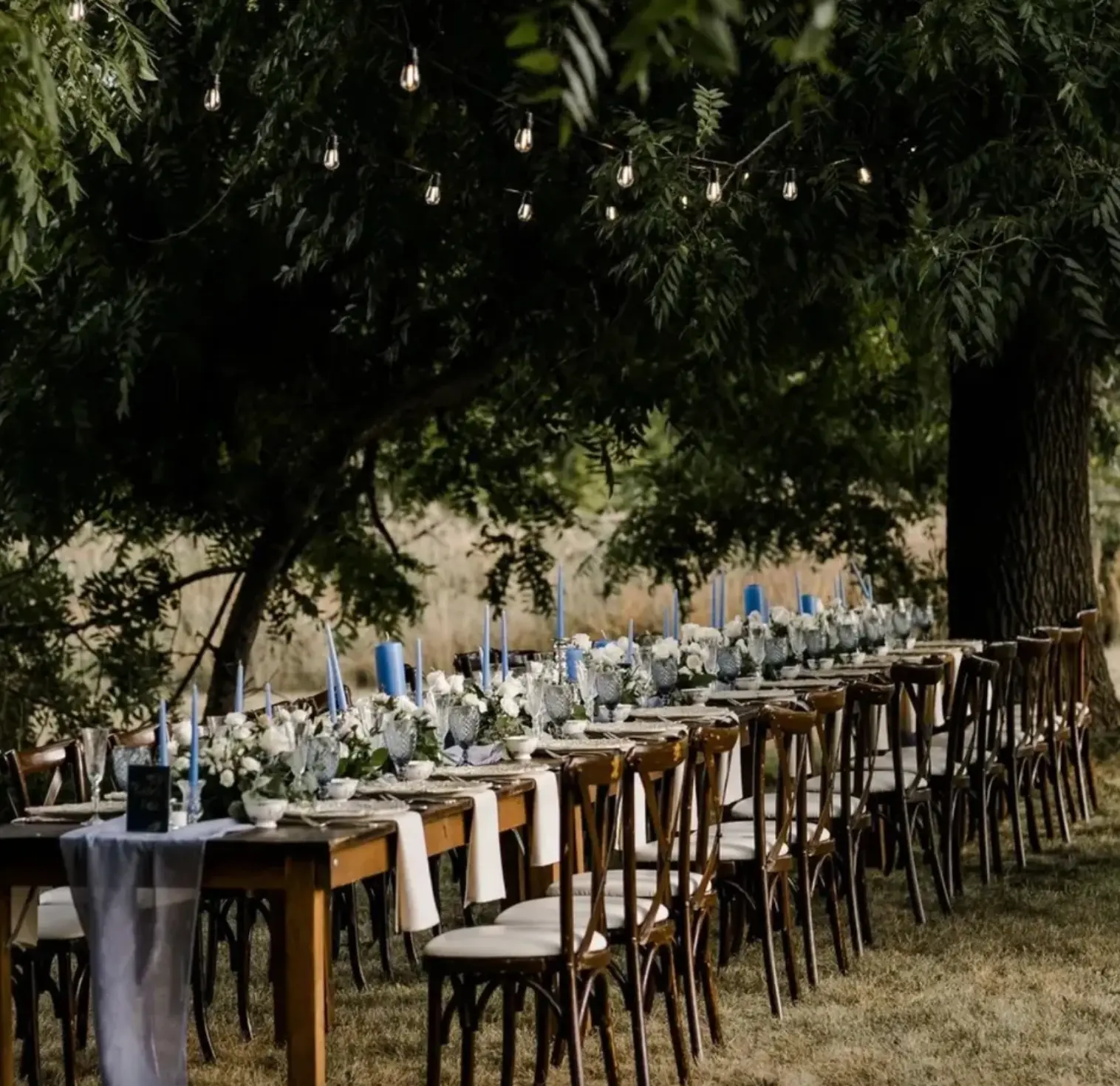 Long outdoor harvest table under trees and string lights with dusty blue candles and white florals